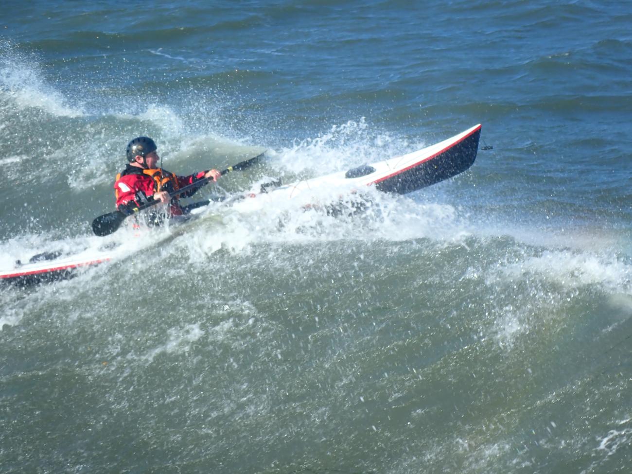Petrel Play in Surf