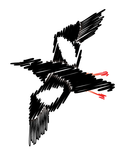 Guillemot Kayaks Logo