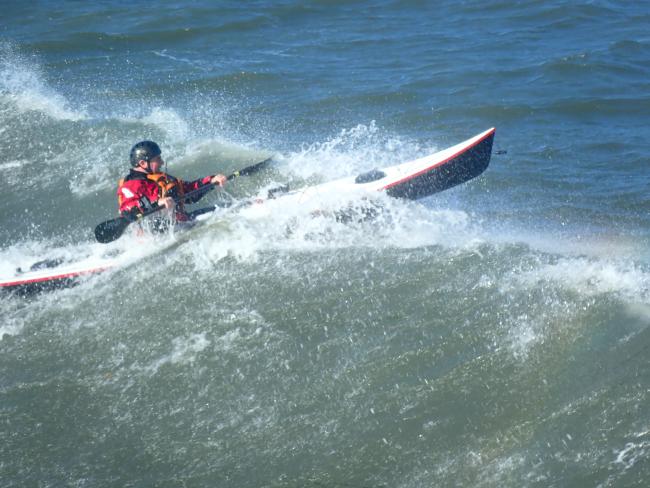 Petrel Play in Surf