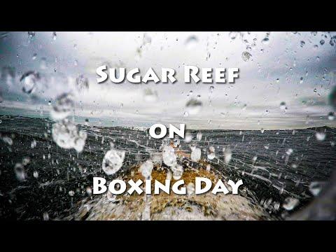Preview image for the video "Boxing Day at Sugar Reef".