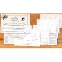 Great Auk Strip Built Sea Kayak Plans