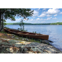 Freedom 15 by Simon Packwood-Greaves