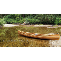 Ranger 15 by the Yeung Family